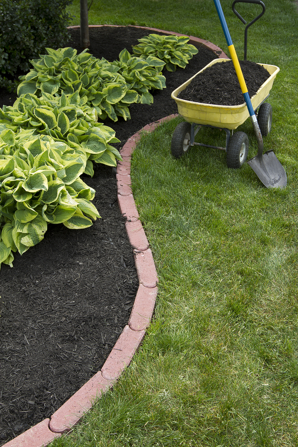 black mulch